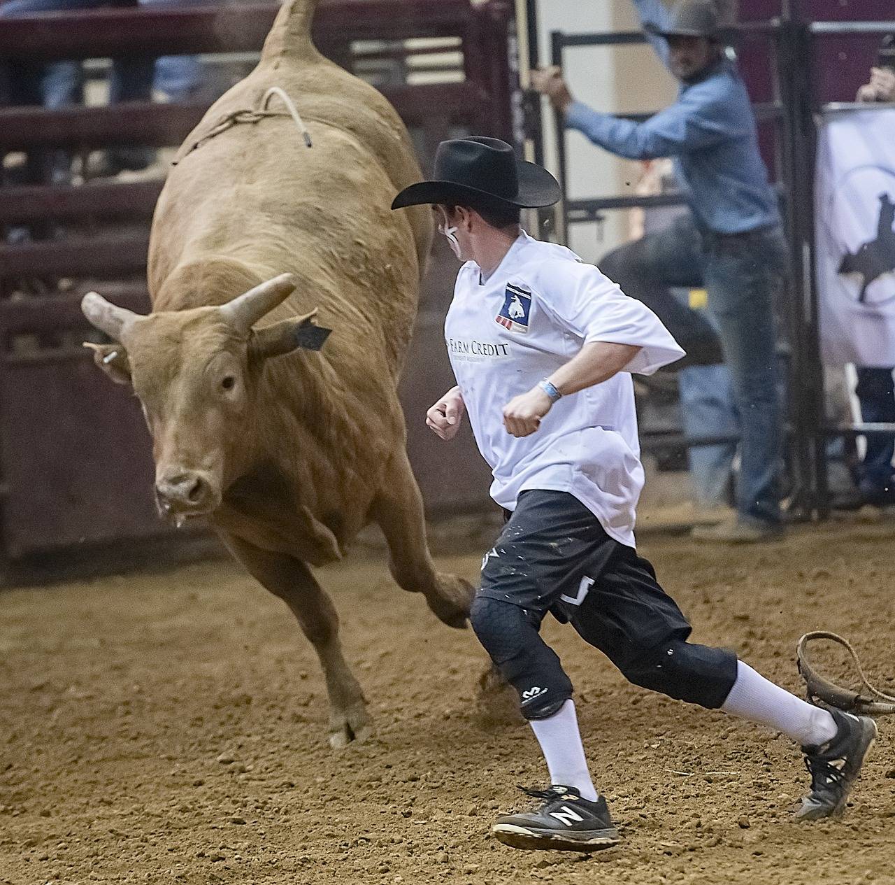 Sustainability in Film Industry Events: Carbon-Neutral Venues