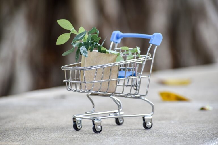 The Rise of Plant-based Fashion: Clothing from Renewable Sources