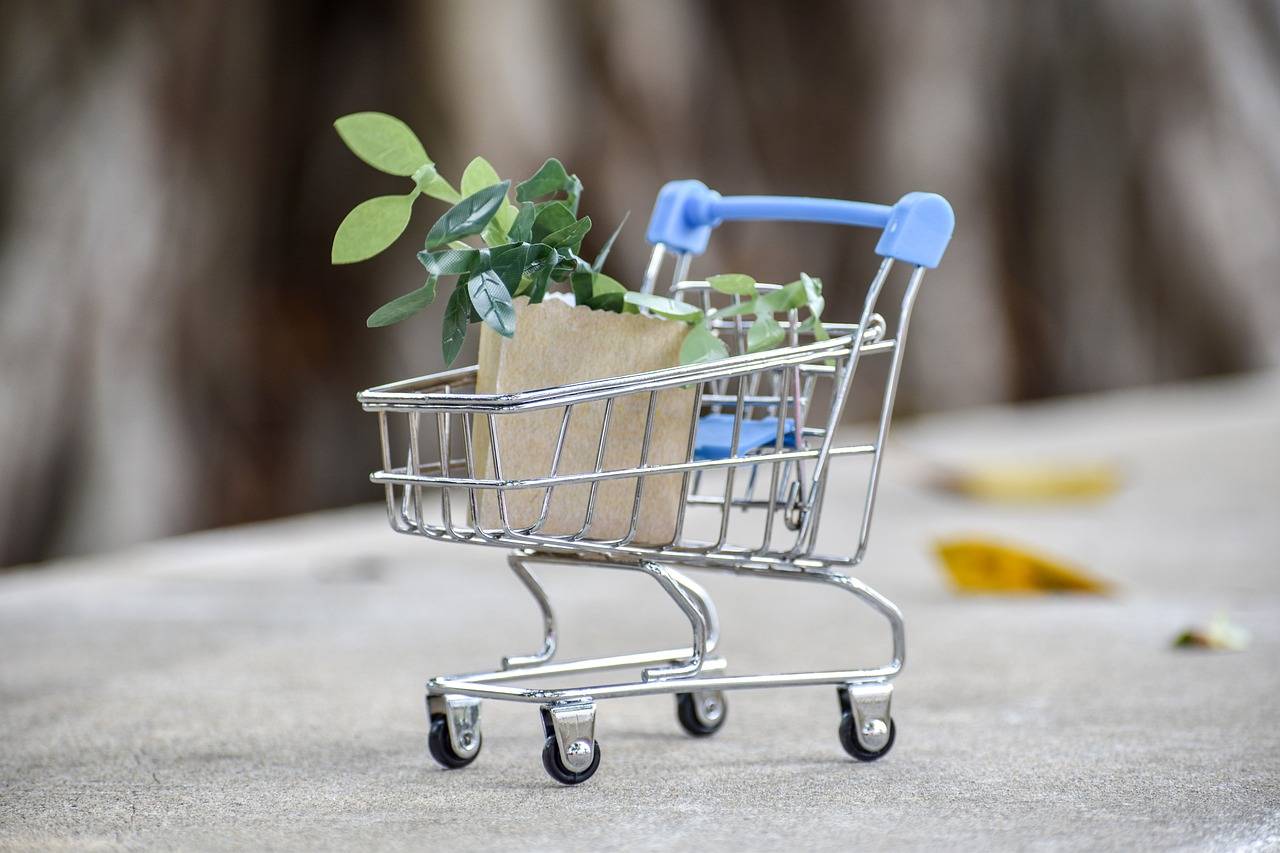 The Rise of Plant-based Fashion: Clothing from Renewable Sources