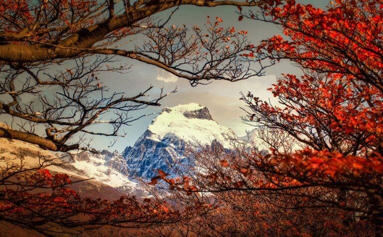 Exploring Famous Historical Residences and Estates