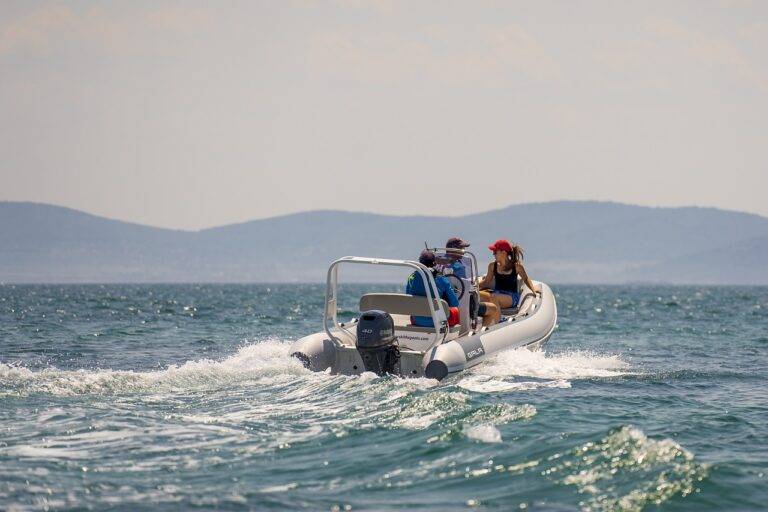 IPL’s Contribution to Cricketing Education: Inspiring the Next Generation of Players and Fans