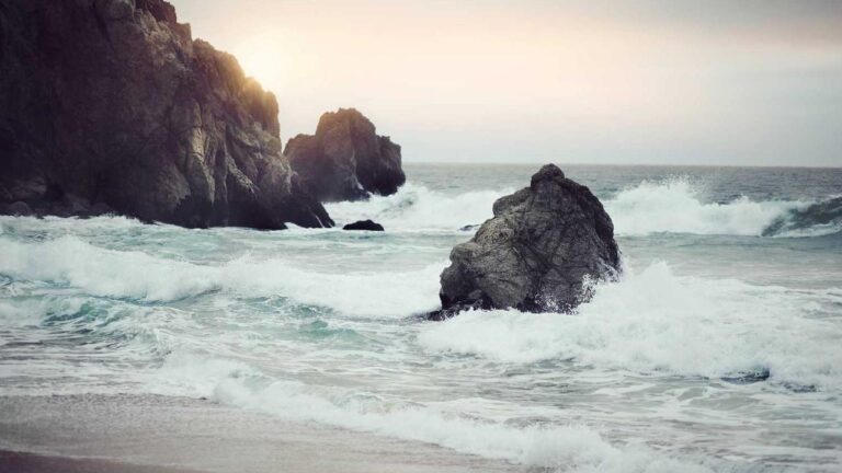 How To Register Through The 99Exch App Easily?