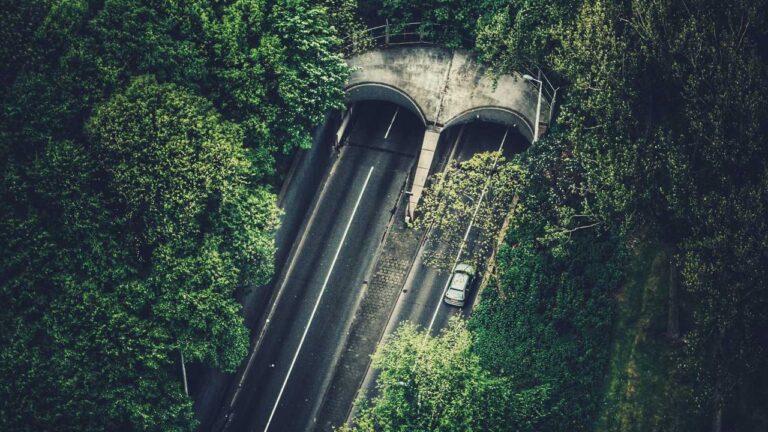 How To Register On Cricbet99 Com Win Site?